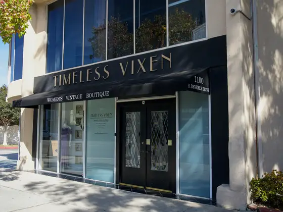 Timeless Vixen