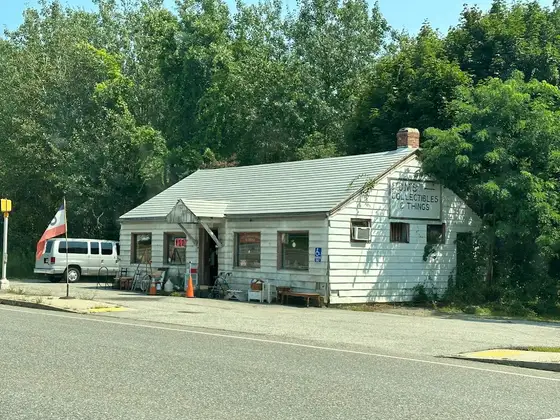 Tom's Collectibles and Things