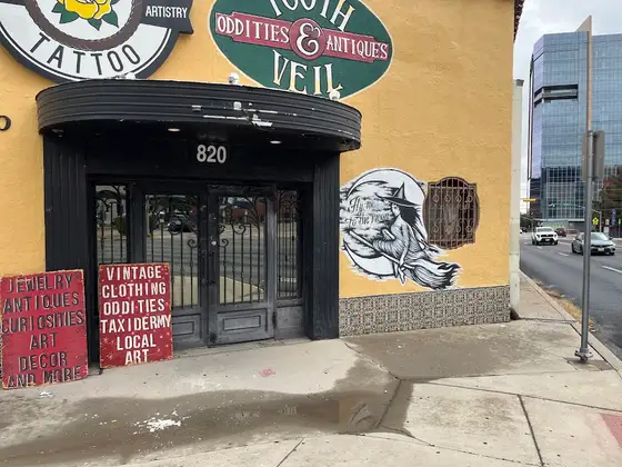 Tooth and Veil Oddities And Macabre Shop