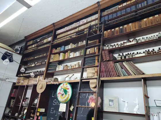 Traveling Ladders
