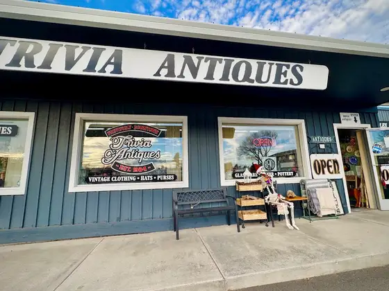 Trivia Antiques