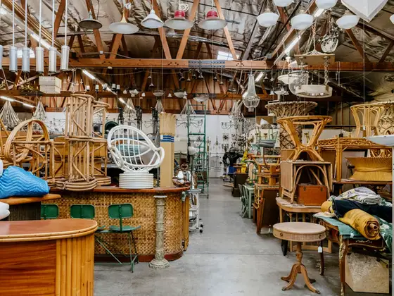 Tropical Sun Rattan