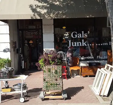 Two Gal's Junk
