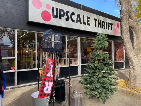 Upscale Thrift