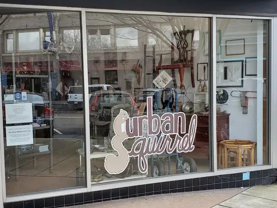 Urban Squirrel