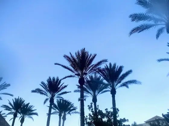 Valley Valley Center