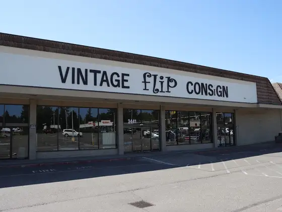Vintage Flip Consign