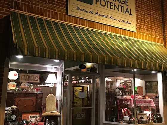 Vintage Potential