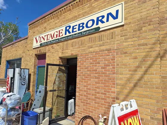 Vintage Reborn