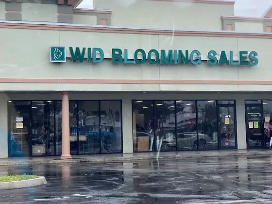 Women In Distress Thrift Store